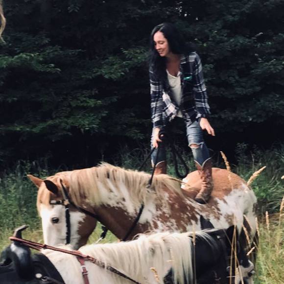 Meet your Posher, Candy - Picture 1 of 1